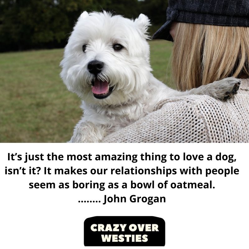 best westie dog quotes