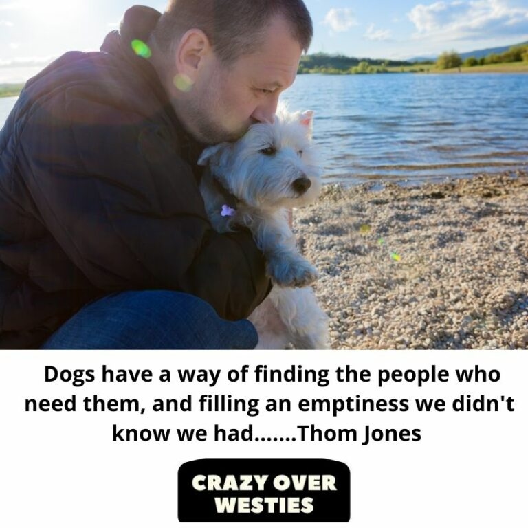 Top 17 Inspirational Westie Dog Quotes | (Get Inspired)