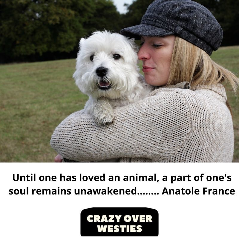 westie dog quote - Until one has loved an animal, a part of one's soul remains unawakened..... Anatole France