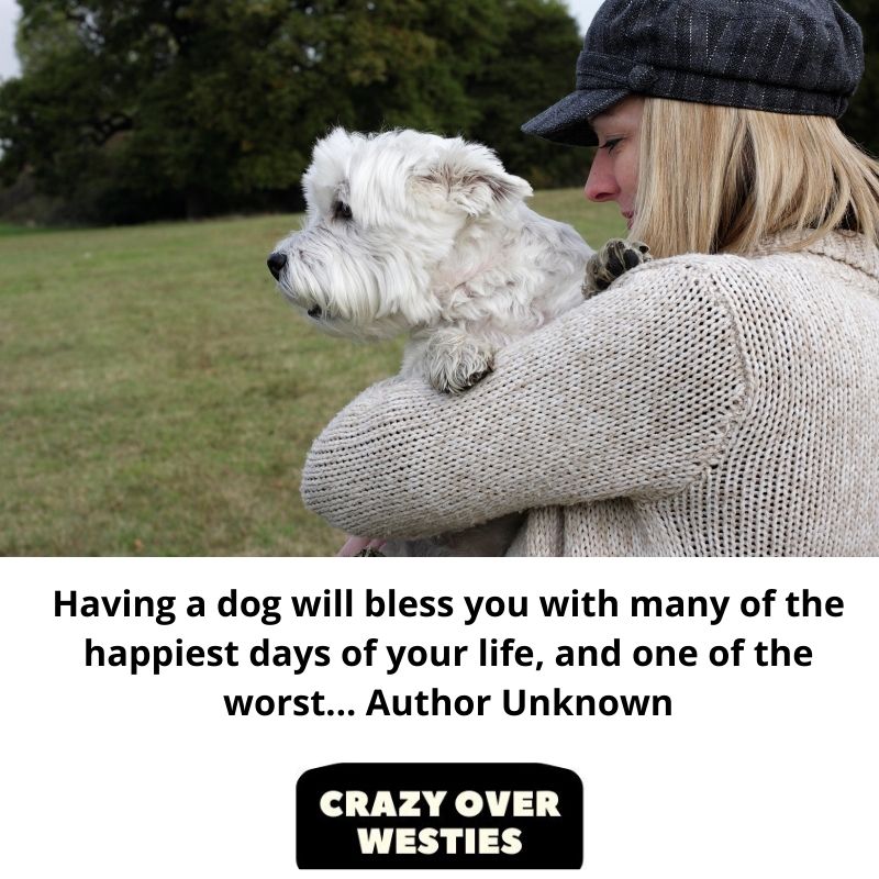 Having a dog will bless you with many of the happiest days of your life, and one of the worst... Author Unknown