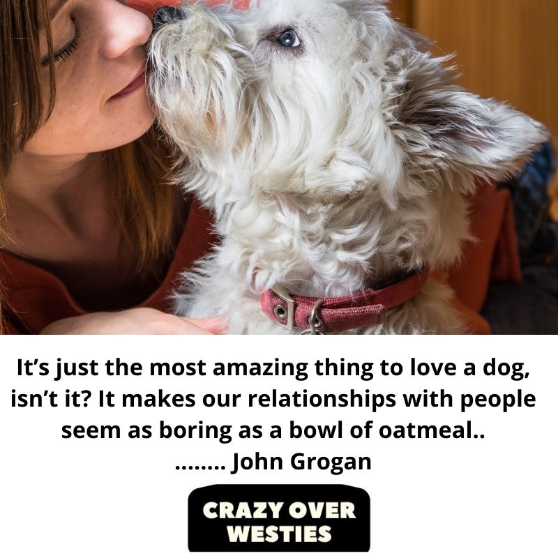 westie dog quote