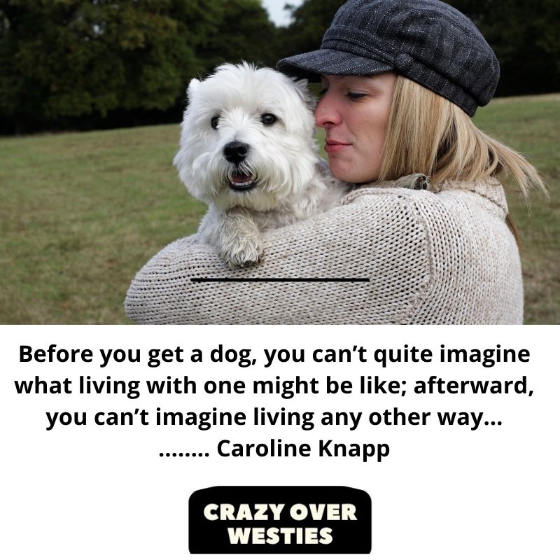 best westie dog quote