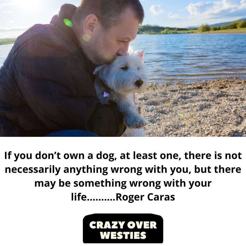 best westie dog quote