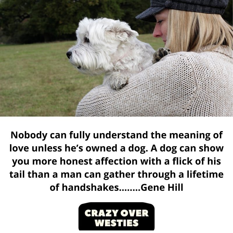 best westie dog quote
