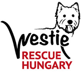 westie rescue hungary logo color32