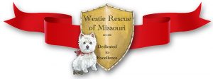 West Highland Terrier Rescue of Missouri 
