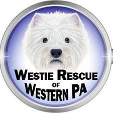 West Highland Terrier Rescue of Western PA: