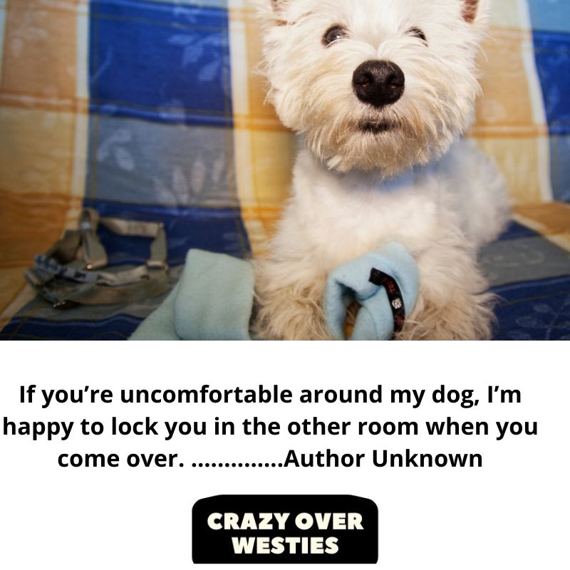 best westie dog quote