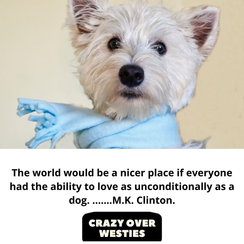 inspirational westie quote - M.K. Clinton