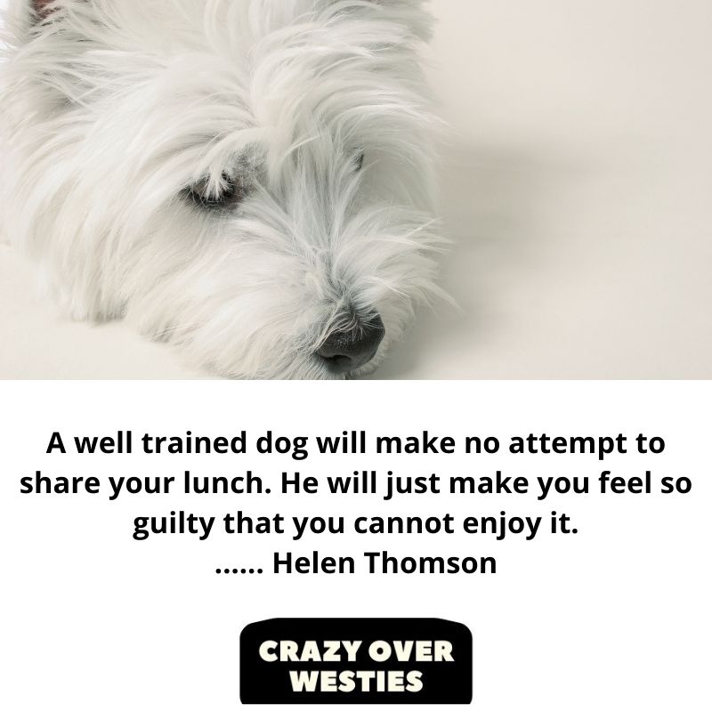 inspirational westie quote - Helen Thomson