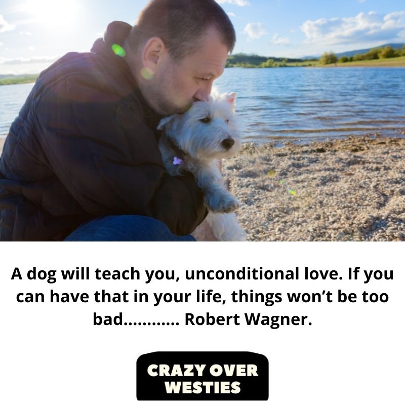 inspirational westie dog quote