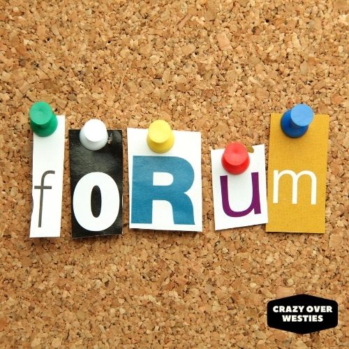 pet forums