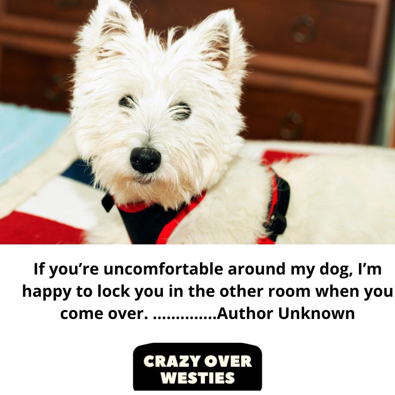 best westie quotes